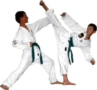 taekwondo.gif