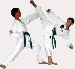taekwondo.gif